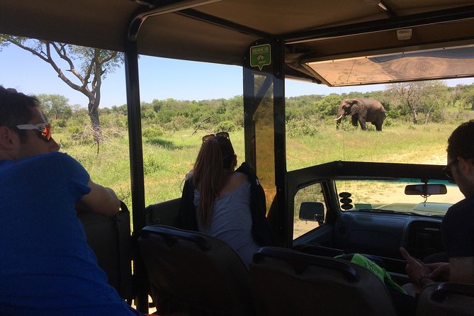 3-Day Tour of Kruger National Park From Skukuza Airport - Airport Pickup and Drop-off