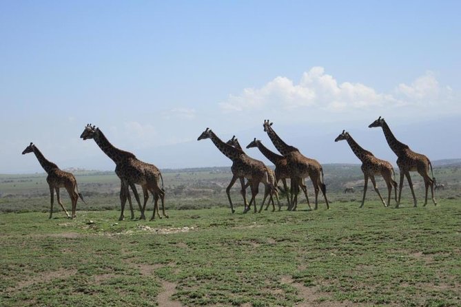 4 Days, 3 Nights Group Budget Safari, Lake Manyara, Serengeti, Ngorongoro - Accommodation and Meals