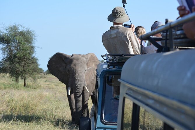 4 Days Tanzania Lodge Safari With Two Nights at Serengeti - Itinerary Highlights