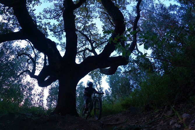 4 Hour Private MTB Enduro Trail Tour in Sintra Mountain - Inclusions