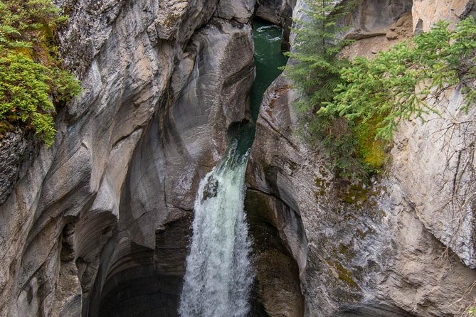 5.5-Hour Jasper Wildlife and Waterfalls Tour With Maligne Lake Cruise From Jasper - Cascade of Waterfalls