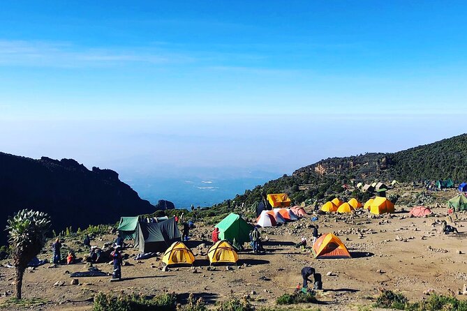 7-Day Machame Route Tour - Guided Hike and Porters