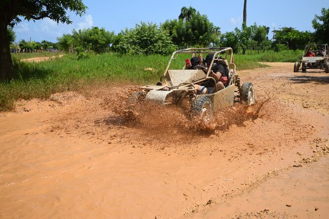 Adrenaline in Buggies for Half-Day Groups - Meeting and Pickup