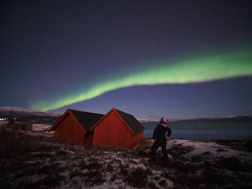 Alta: Small-Group Guided Northern Lights Tour - Highlights