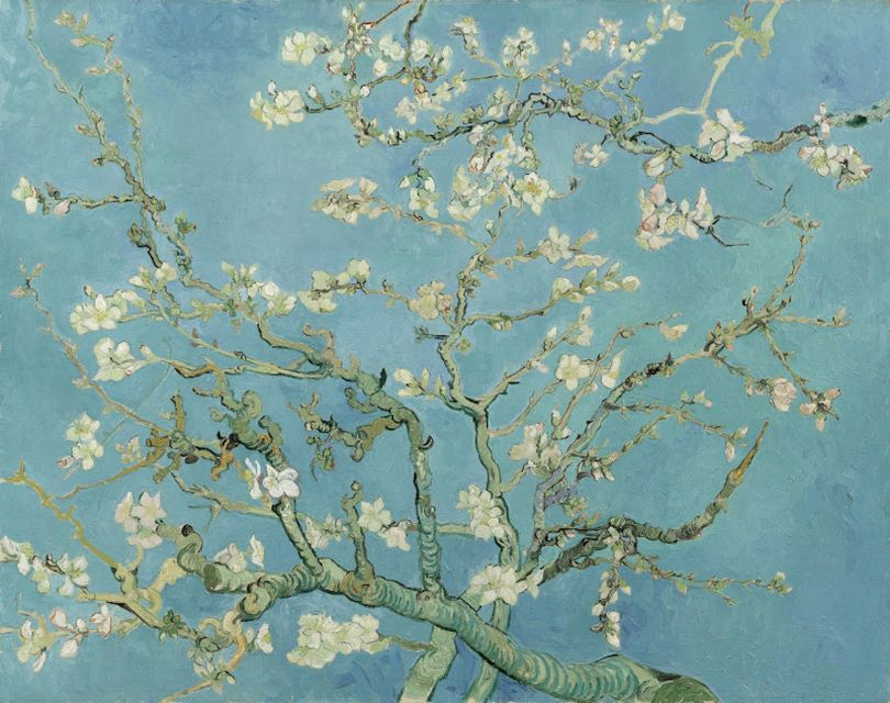 Amsterdam: Van Gogh Museum Entry Ticket and Guided Tour - Artistic and Personal Development