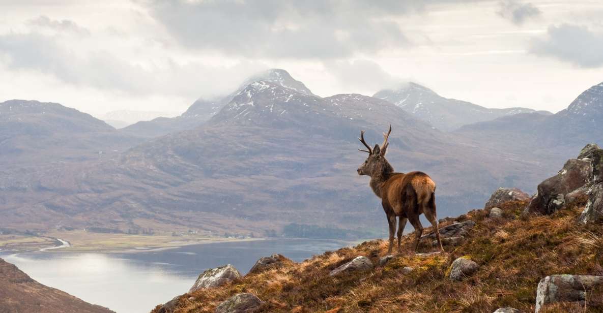 Applecross, Loch Carron & Wild Highlands Tour From Inverness - Duration and Booking