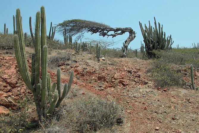 Arikok Adventurous Hiking Experience in Aruba - Dramatic Landscapes and Wildlife