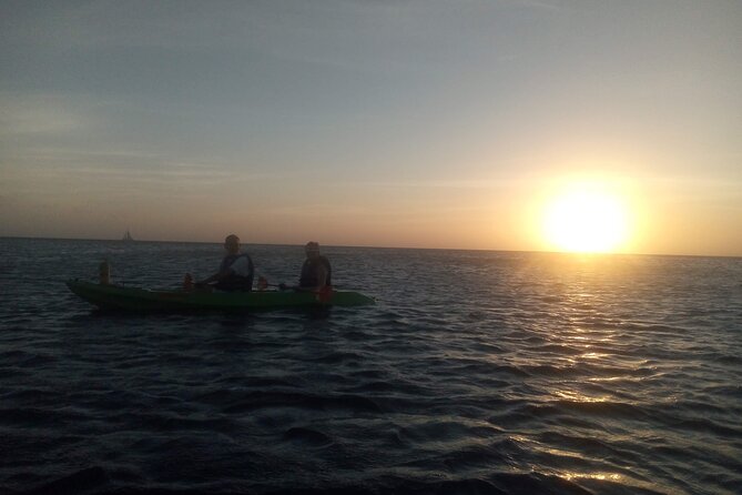 Aruba Night Glass Kayak Tour - Included in the Tour