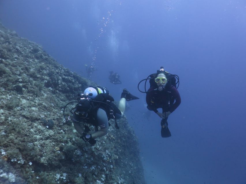 Athens: Private Discover Scuba Diving for Beginners - Transportation and Logistics