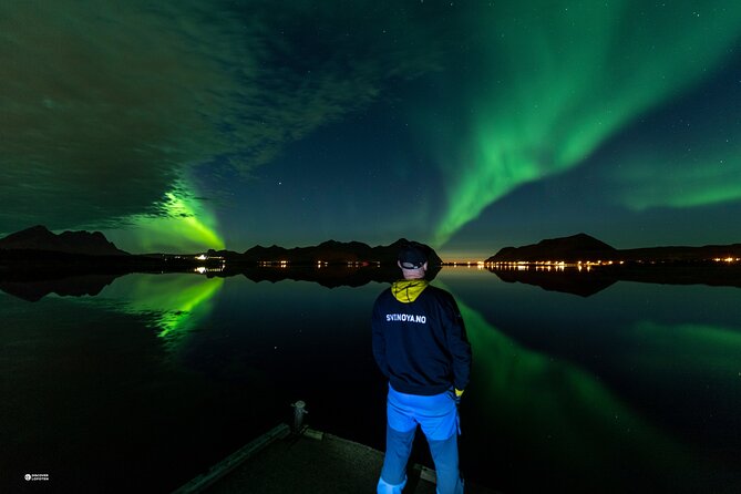 Aurora Hunter - Northern Lights Hunt in Lofoten - Meeting and Pickup