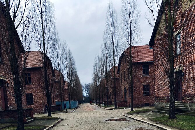 Auschwitz-Birkenau Guided Tour With Private Transport From Krakow - Pickup and Drop-off