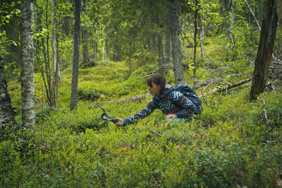 Auttiköngäs Hiking Experience - Highlights of the Experience