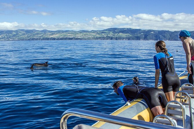 Azores Swim With Dolphins Atlantic Experience - Inclusions and Amenities