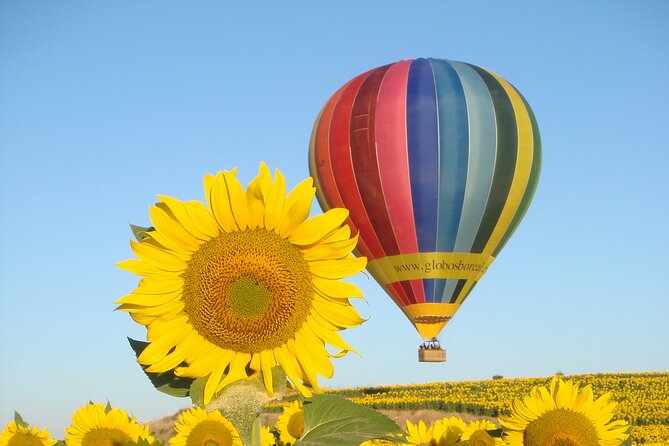 Balloon Rides in Segovia With Optional Transportation From Madrid - Guided by Expert Balloonist