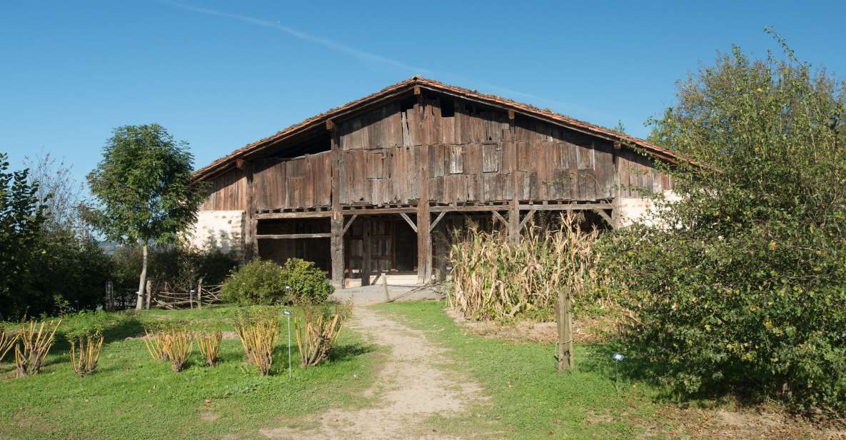 Basque Press Farm and Traditional Cider House With Transport - Experience Highlights