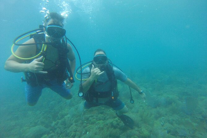 Beginner Scuba Diving Guided Tour - No Experience Required - Meeting Point and Transportation