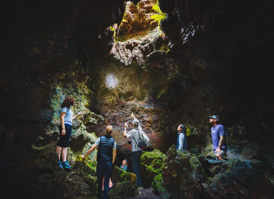 Big Island: Off the Beaten Path Volcano Crater Hike - Volcanic Craters and Cloud Forest