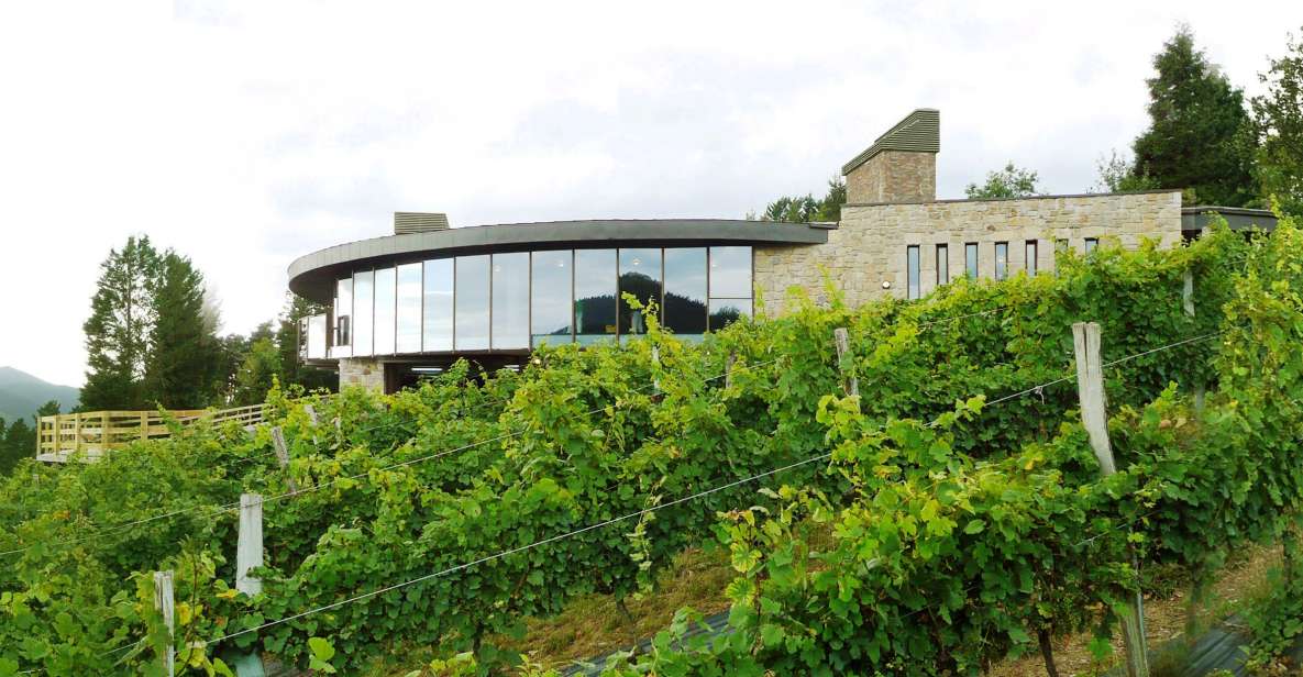 Bilbao: Organic Winery Visit With Tasting - Experience Highlights