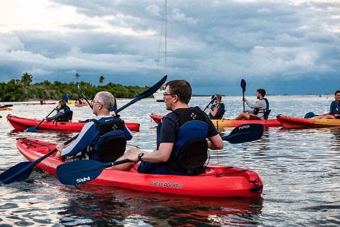 Bio Bay Kayak Tour in Fajardo - Restrictions and Requirements