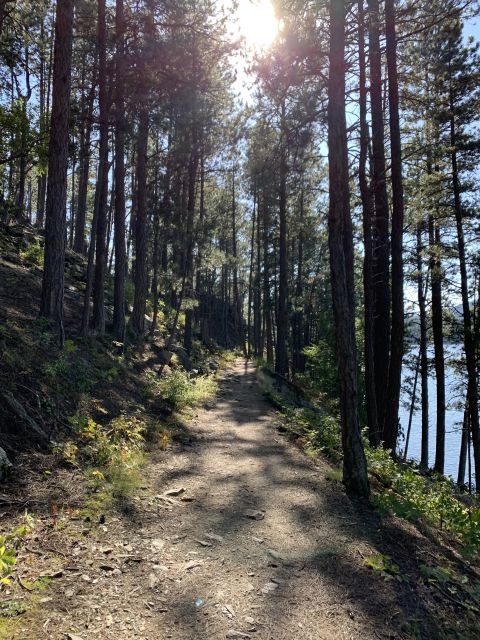 Black Hills: Private Tour of Mt. Rushmore & Flume Trail Hike - Exploring Mt. Rushmore Memorial