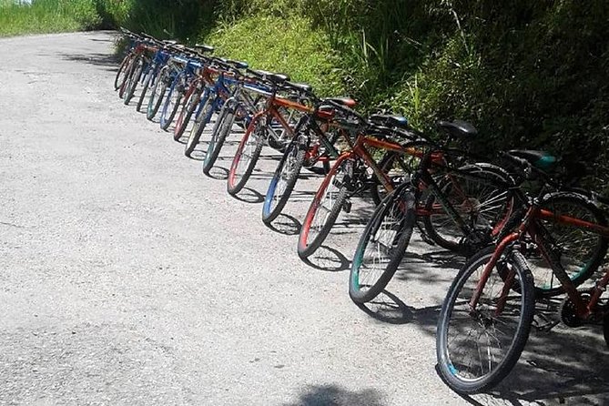 Blue Mountain Bicycle Tour From Ocho Rios - Inclusions