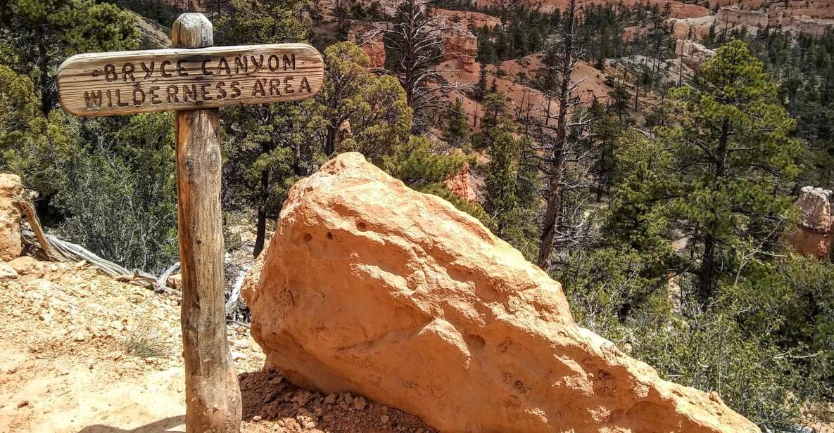 Bryce: Guided Sightseeing Tour of Bryce Canyon National Park - Highlights of the Tour