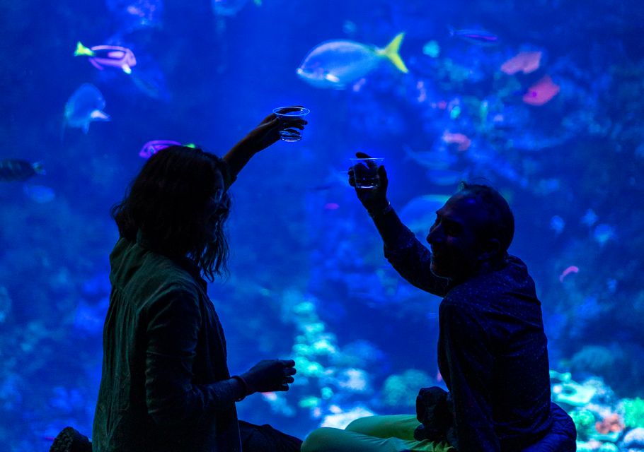 California Academy of Sciences NightLife Plus Admission - Experience Highlights