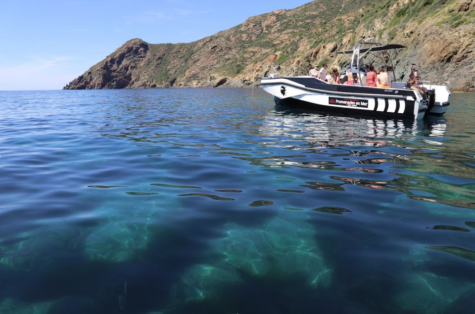 Calvi: Scandola and Piana Guided Boat Tour - Discovering Scandola Nature Reserve