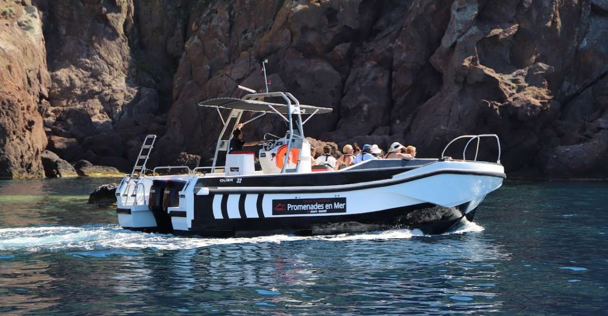 Calvi to Scandola: 4-Hour Boat Tour - Cost and Booking