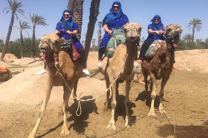 Camel Ride in Marrakech Desert Palmgrove - Participation and Accessibility