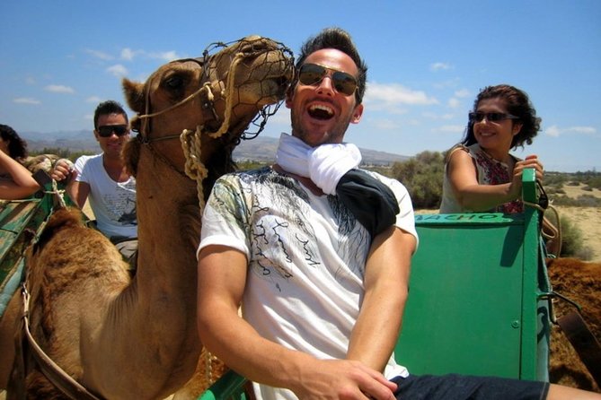 Camel Safari Through the Dunes of Maspalomas - Meeting Point and Directions