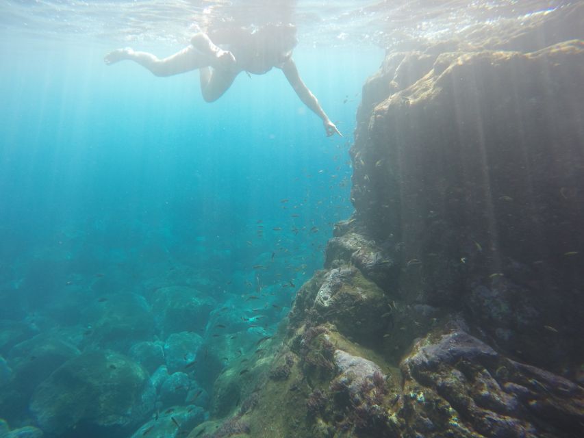 Caniço: Garajau Nature Reserve Guided Snorkeling Tour - Experience Highlights