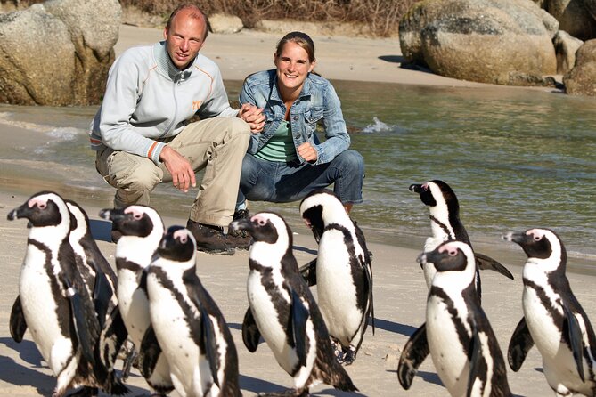 Cape of Good Hope & Penguins Small Group Tour From Cape Town - Admission Fees