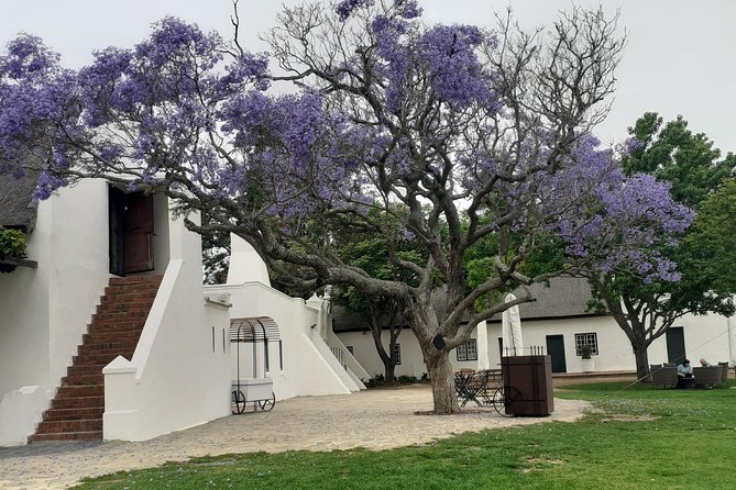 Cape Winelands and Wine Tasting Full Day Tour - Visitor Reviews