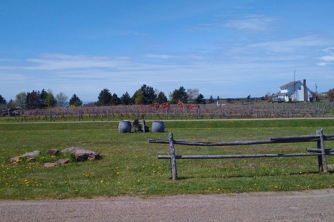 Central PEI Winery, Apiary and Mead Tasting Tour - Inclusions