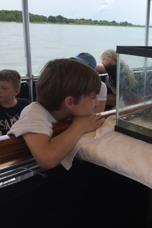 Charleston: Morris Island Nature Boat Tour With Naturalist - Wildlife Experience