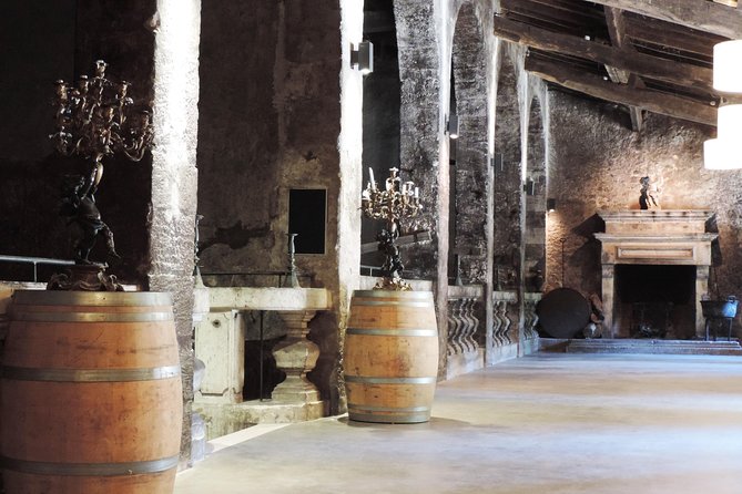 Chateau Du Taillan and Park Including Wine Tasting Tour - Vineyard and Cellar Exploration