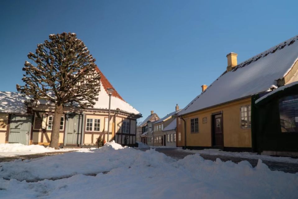 Christmas Charms in Odense - Walking Tour - Experience Highlights