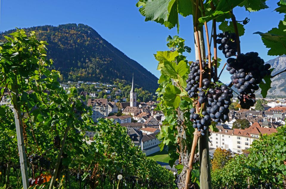 Chur: Old Town Tour - Booking Information