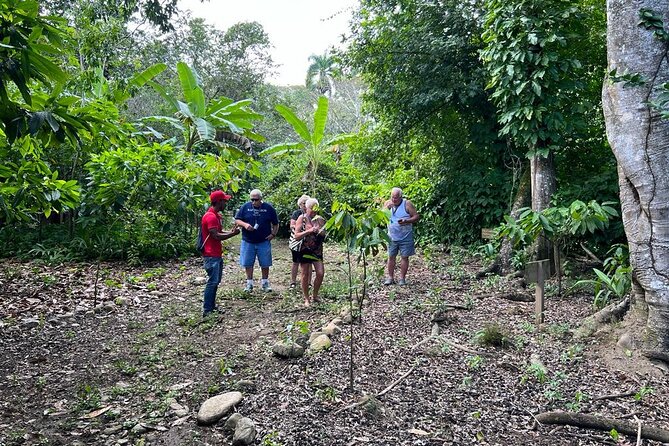 Cocoa & Artisan Chocolate Route With an Historical Tour in Puerto Plata City - Experience Highlights