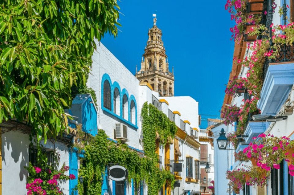 Cordoba Private Daytrip From Seville by Train - Itinerary Details