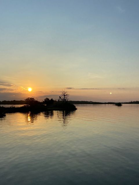 Crystal River: Backwater Adventure on an Airboat - Diverse Wildlife Encounters