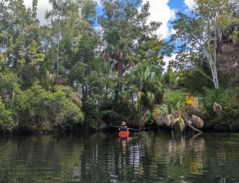 Crystal River: Kayak Rental - Experience and Highlights