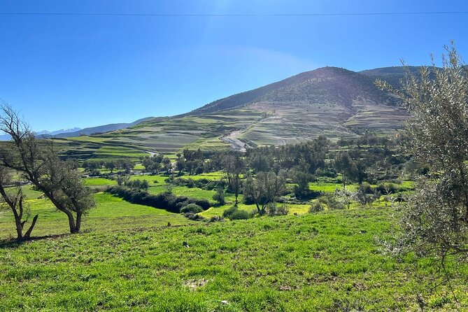 Cultural Day Trip to the Atlas Mountain From Marrakesh - Included Amenities