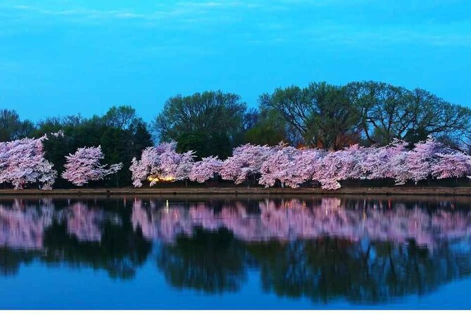 D.C. Cherry Blossoms: Escorted Bus Tour From Toronto - Traveler Requirements