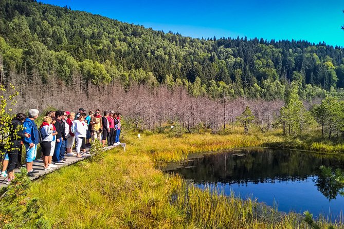 Day Trip & Bear Watching in the Land of Volcanoes - What to Bring