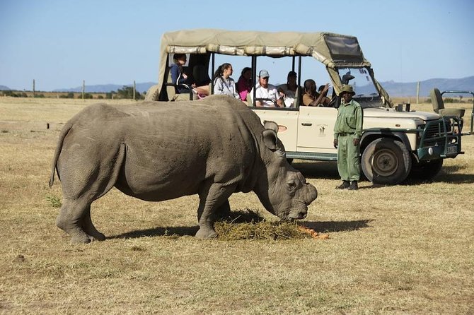 Day Trip to Ol Pejeta Conservancy From Nairobi - Key Highlights of the Day