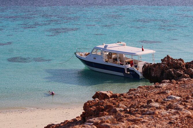 Daymaniyat Island Natural Reserve and Dolphin Watching - Meeting Point and Pickup