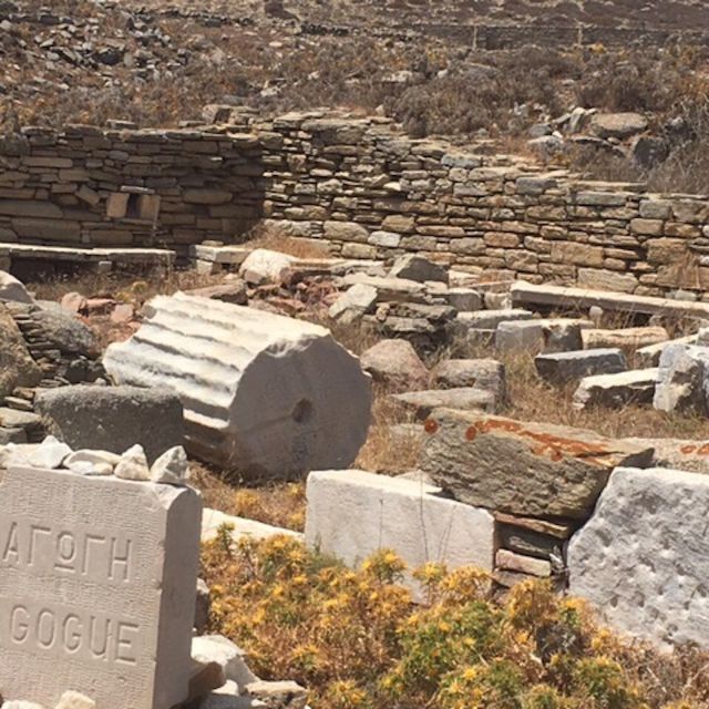 Delos Synagogue: Jewish Heritage Private Tour From Mykonos - Itinerary