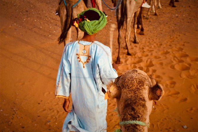 Desert Dreams Marrakech to Merzouga 3-Day Adventure - Camel Ride and Bedouin Tent